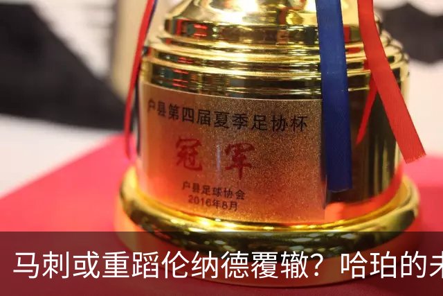 马刺或重蹈伦纳德覆辙？哈珀的未来危机